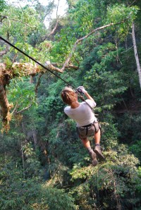 Gibbon Experience (15)