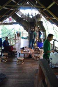 Gibbon Experience (30)