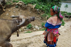 Bac Ha (13)