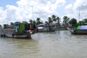 Mekong Delta (5)