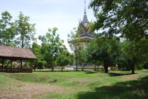 PP + Killing Fields (5)