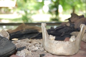 PP + Killing Fields (6)