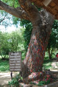 PP + Killing Fields (7)