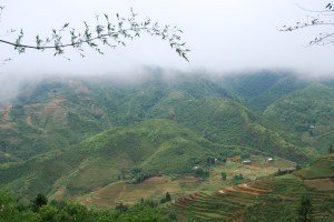Sapa (6)
