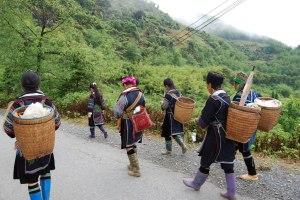 Sapa (8)