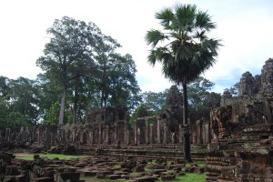 Angkor Wat (21)