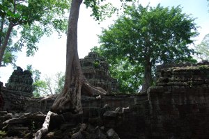 Angkor Wat (39)