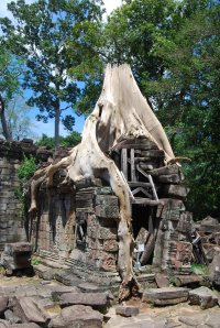 Angkor Wat (71)