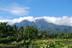 Flores Mount Egon (48)