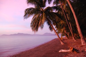 Flores Sunset Bungalows
