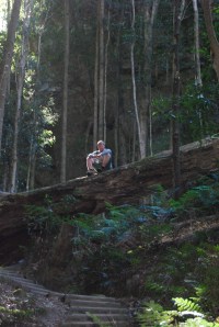 Sydney Blue Mountains (10)