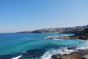 Sydney Coastal Walk (8)