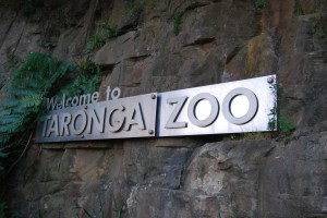 Sydney Zoo (31)