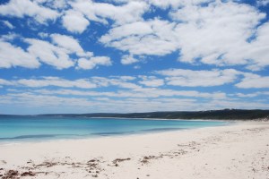 Margaret River (12)