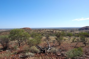 Kata Tjuta (17)