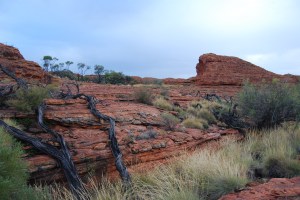 Kings Canyon (10)