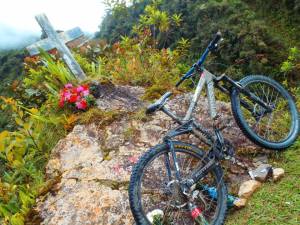 553956_824866190860625_444792635_n