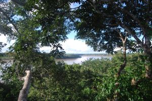 Tambopata (126)