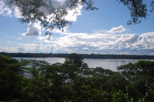 Tambopata (127)