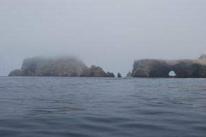 Islas Ballestas (16)