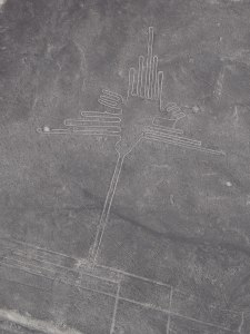 Nazca lines (20)