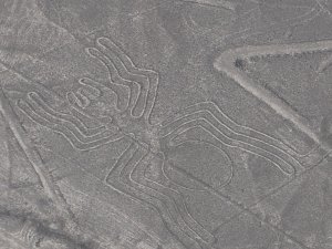 Nazca lines (28)