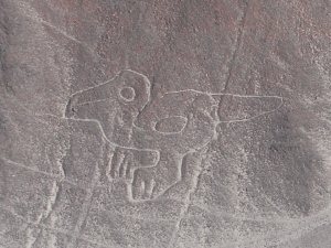 Nazca lines (39)
