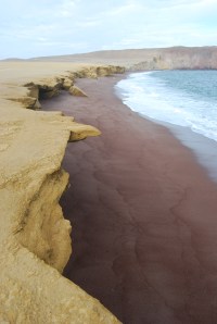 Paracas Reserva Nacional (18)